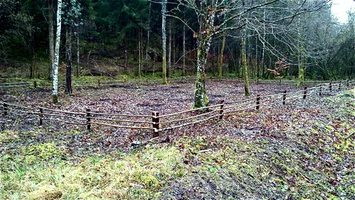arboretum-barriere-de-protection